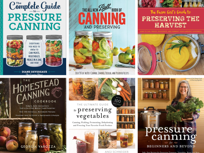 20 Best Books on Canning & Preserving in 2024