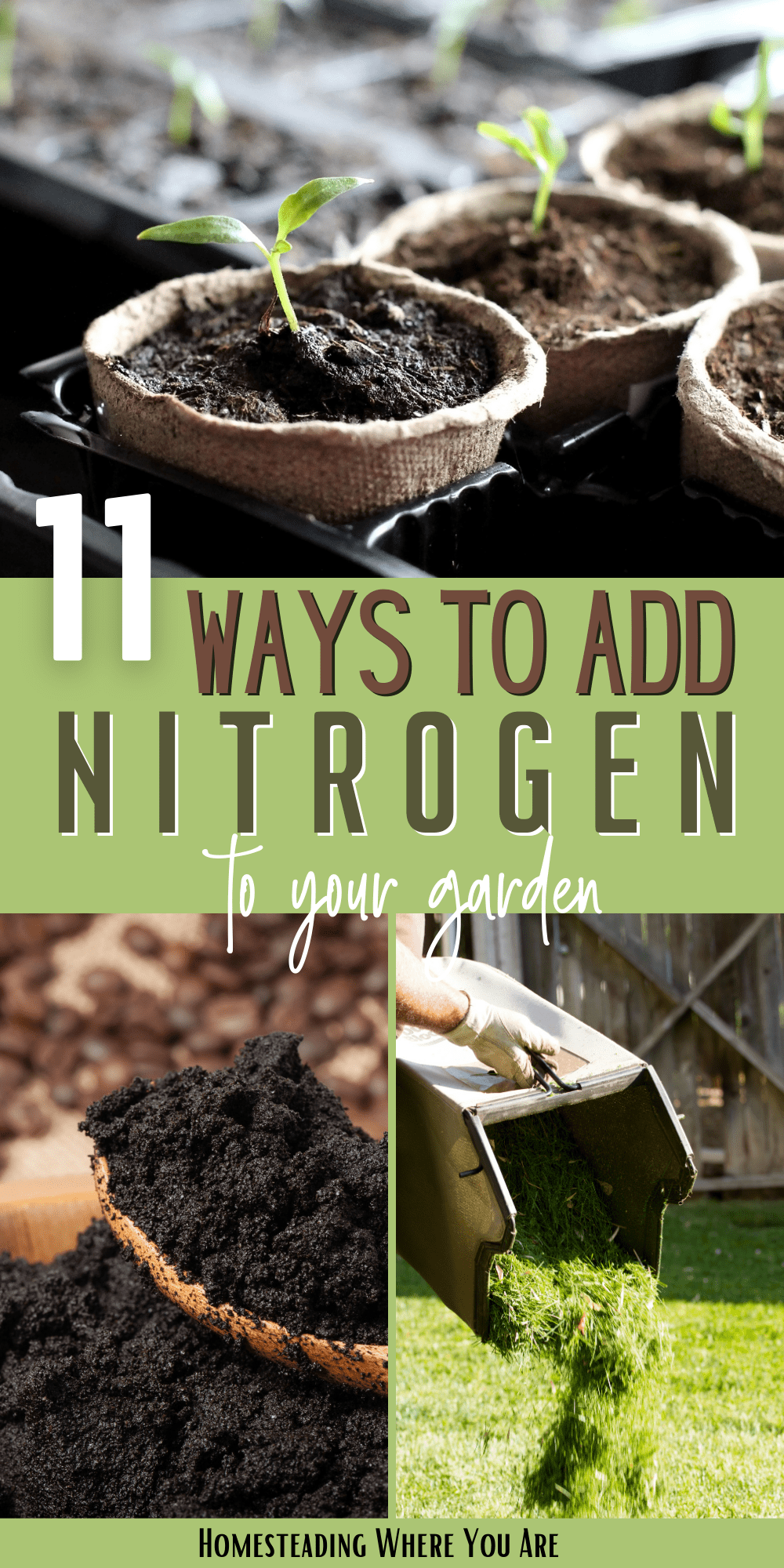 11 Natural Nitrogen Sources All Gardeners Need to Know