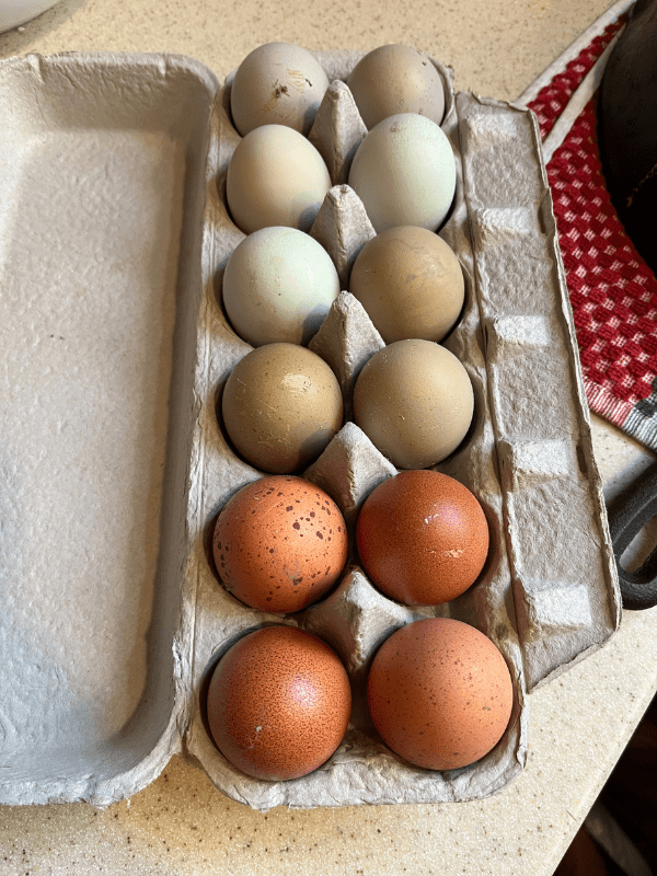 The Best Way To Store Eggs