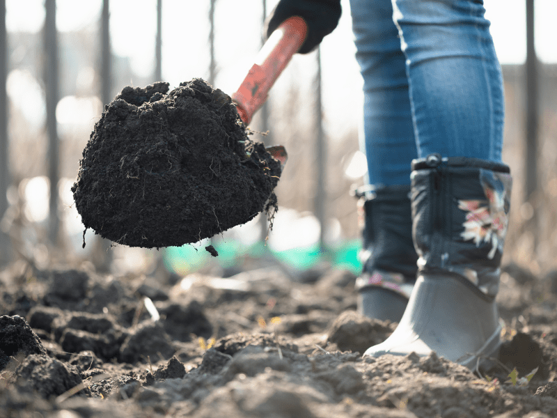 How to Make Soil Acidic 11 Tips to Try