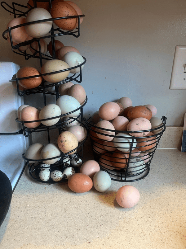 Water Glassing Eggs: How to Preserve Your Fresh Eggs for Long-Term Storage  • The Prairie Homestead