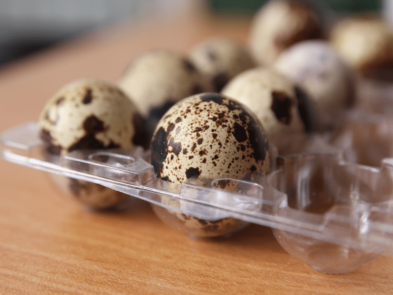 How Long Do Quail Eggs Last? Shelf & Storage Life