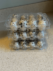 How Long Do Quail Eggs Last? Shelf & Storage Life