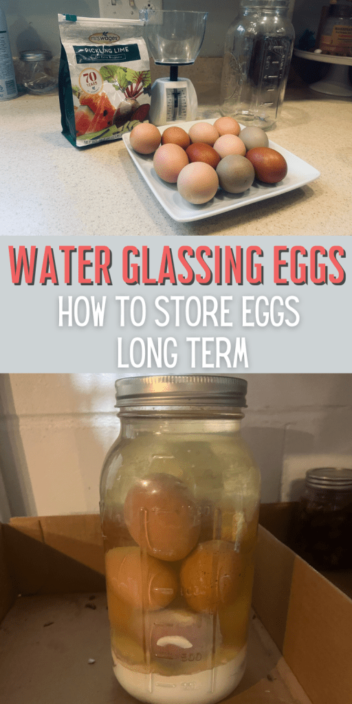 Water Glassing Eggs How to Store Eggs Long Term