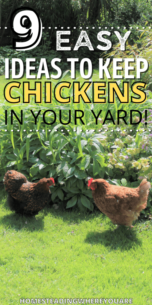 9 Ways to Keep Chickens From Leaving Your Yard