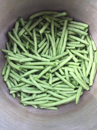 Step-by-Step Guide: Freezing Fresh Green Beans » Homesteading Where You Are