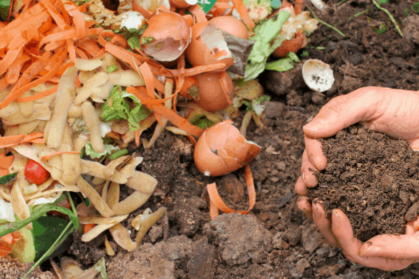 Image of Battle Creek mature compost