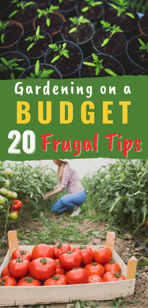 A Cultivated Nest — Inspiring Frugal Ideas for Your Home & Garden