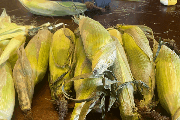 Canning Corn with the raw pack or hot pack method - SchneiderPeeps