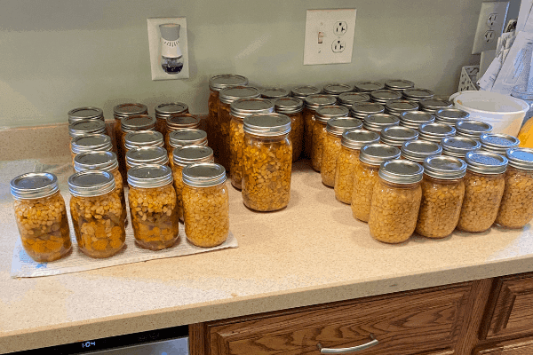 Canning Corn with the raw pack or hot pack method - SchneiderPeeps