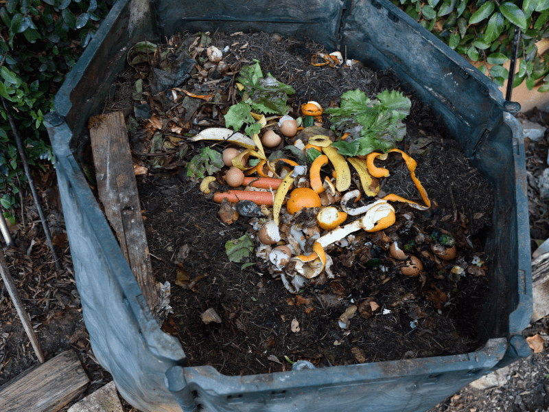 Everything you need to know to get started with home composting, Treading  My Own Path