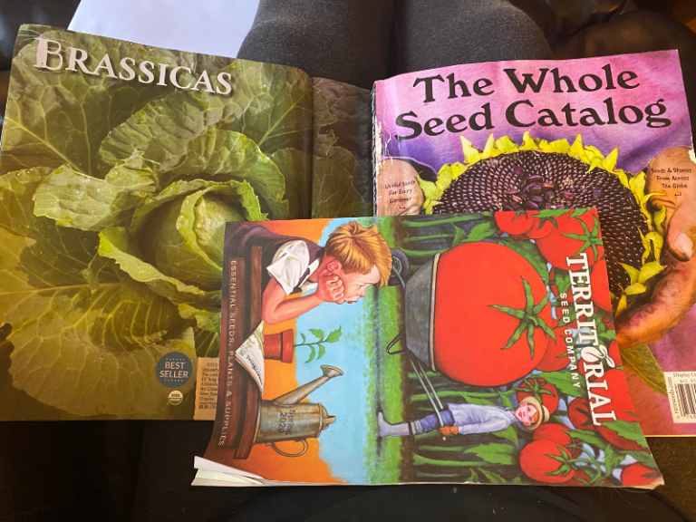 26 Free Seed Catalogs for 2023 » Homesteading Where You Are