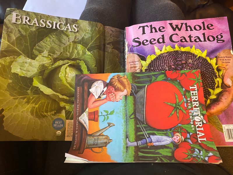 26 Free Seed Catalogs for 2024 » Homesteading Where You Are